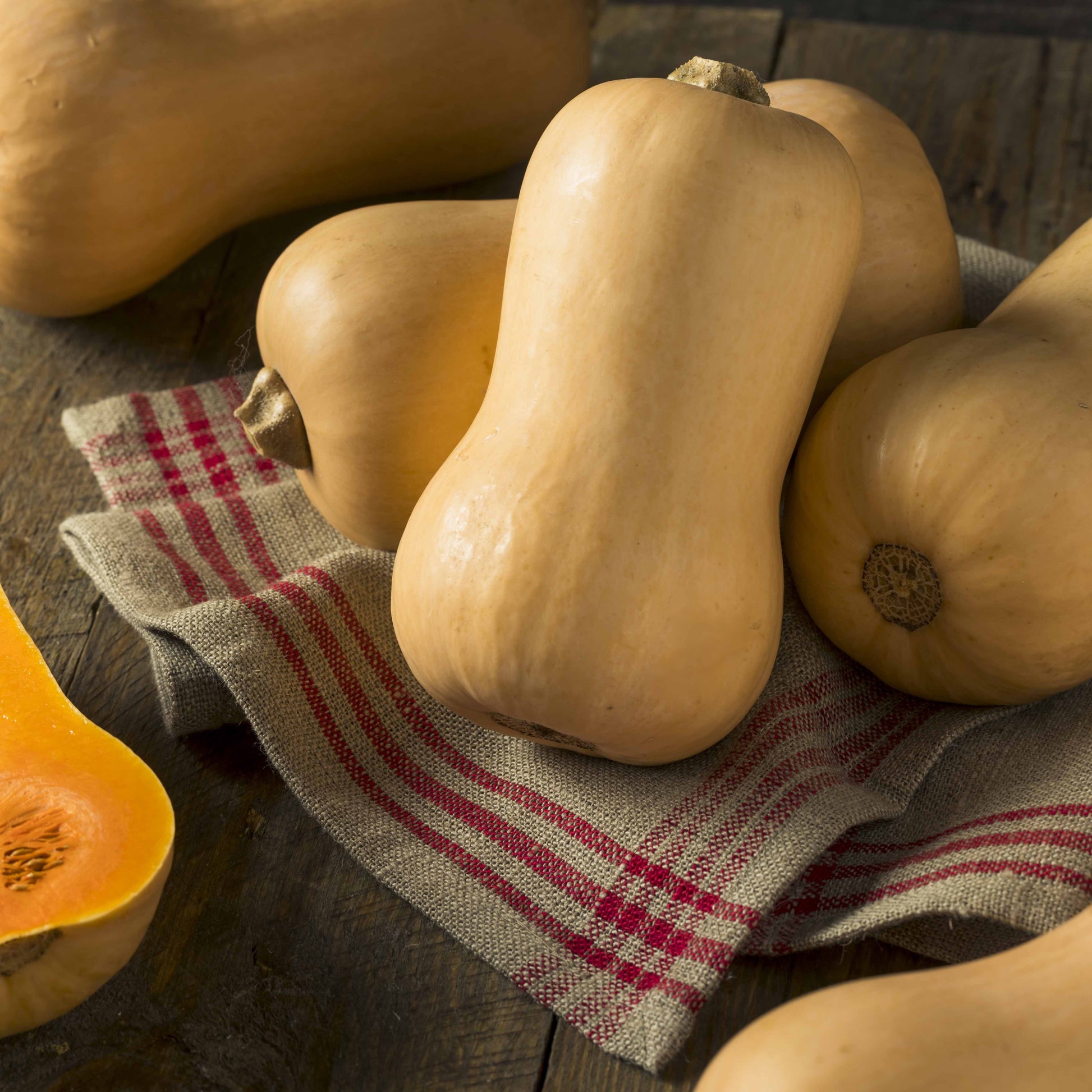 Butternut-Kürbis ‘Hercules’ F1 - Bakker