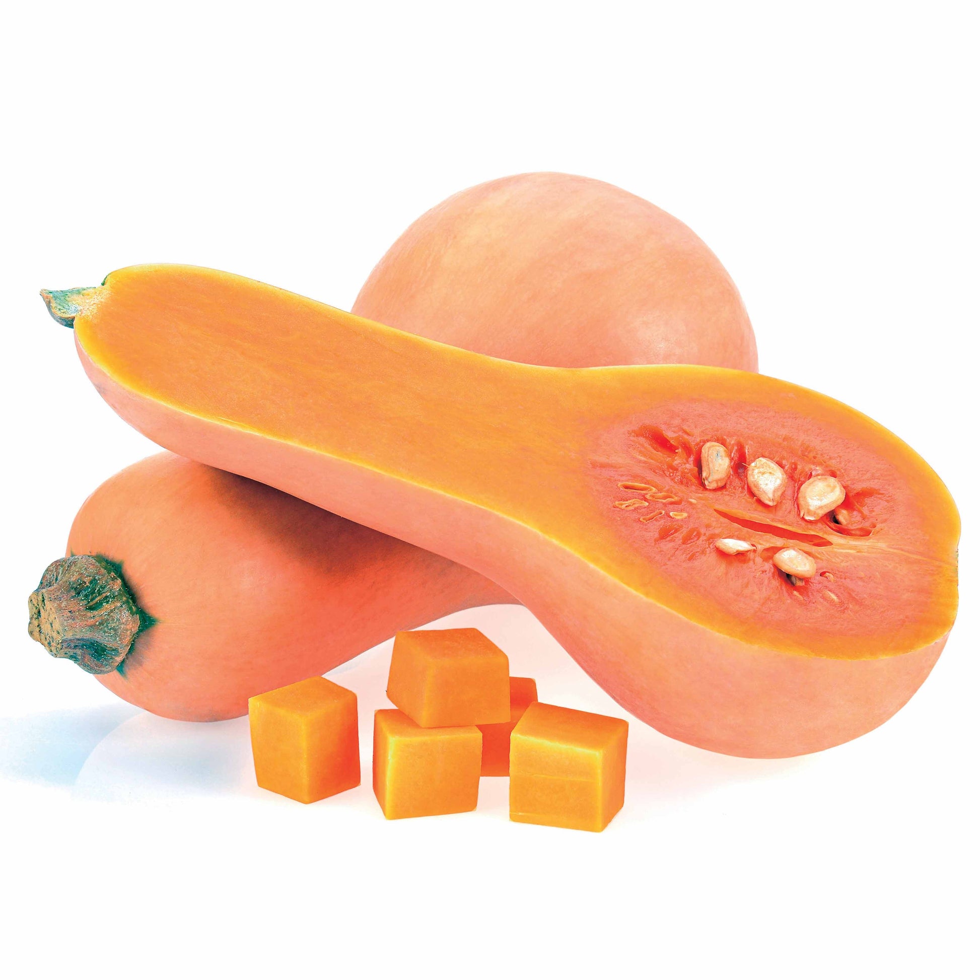 Cucurbita moschata hercules f1 - Butternut-Kürbis ‘Hercules’ F1 - Samen für Kürbisse