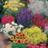 Pflegeleichtes Staudenbeet - Fläche ca. 1,5 m² - Achillea filipendula, Sidalcea Rosanna, Aconitum arendsii, Astilbe, Lencanthemum superbum Silver Princess, Alchemilla Mollis, Gaillarda Kobold, Dianthus plumarius Fortuna - Bakker