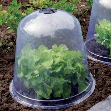 Treibglocken (x3) -  - Bakker