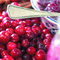 Verkauf Großfrüchtige Moosbeere