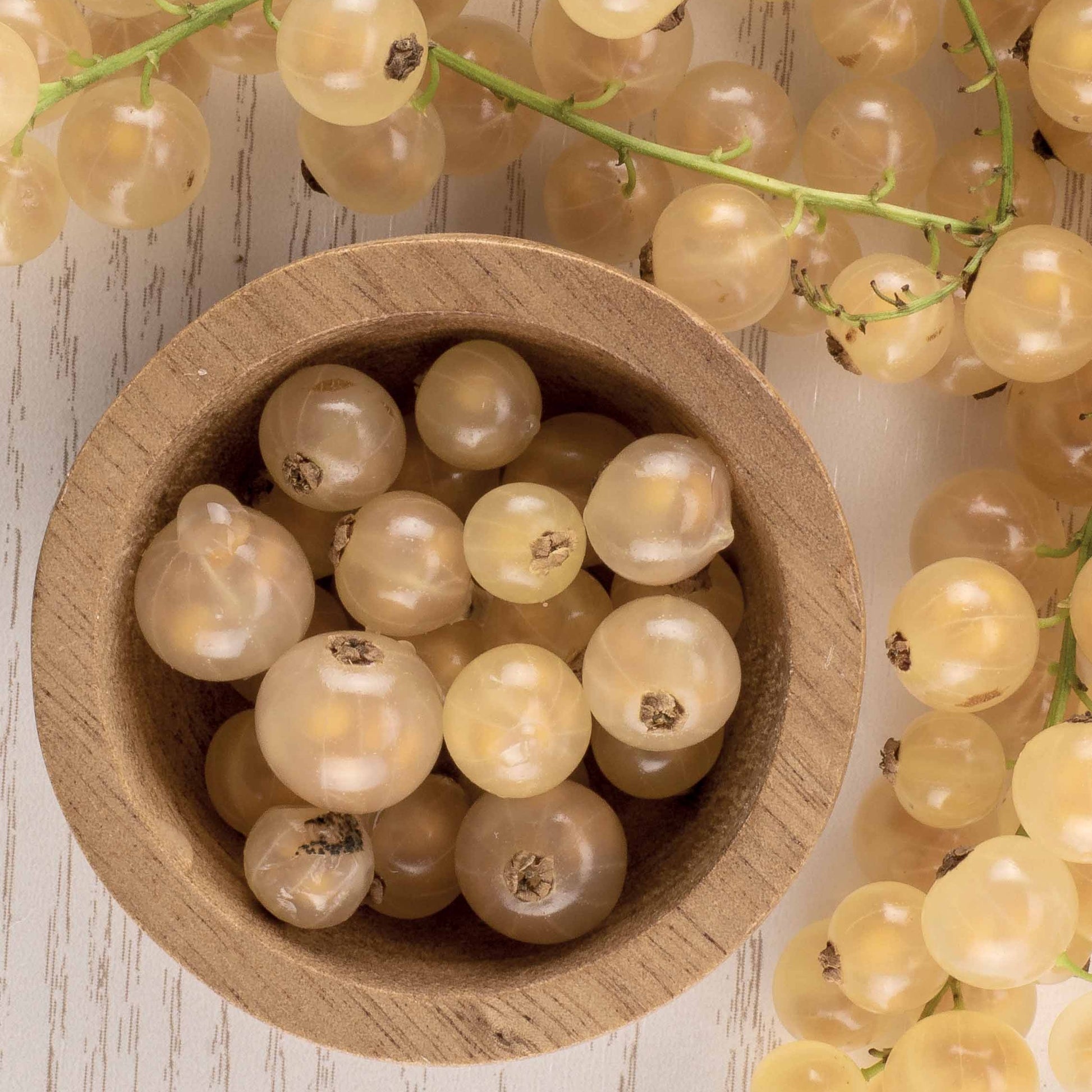 Weiße Johannisbeere White Pearl - Ribes rubrum white pearl - Bakker