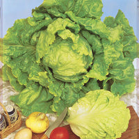 Coll. 3 salades assorties (pommant seule + appia + - Salatsammlung: Chicorée, Kopfsalat, Batavia - Samen für Salate