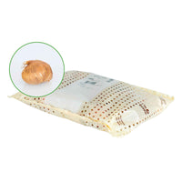 Glamini - Mini-Gladiolen Mischung (x12) - Gladiole-Zwiebeln