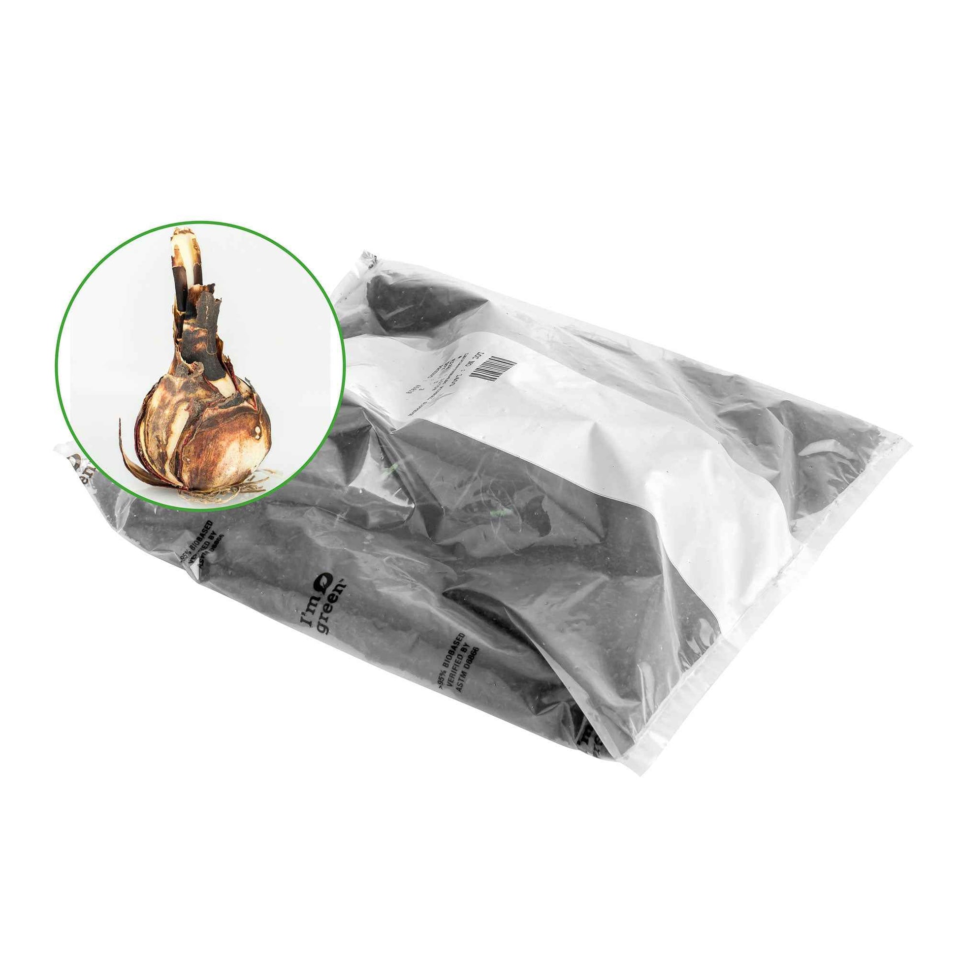 Sprekelia formosissima - Jakobslilie (x2) - Natürlicher Zwiebel-Mix