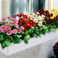 Dahlien 'Topmix' (x5) - Dahlias topmix - Bakker