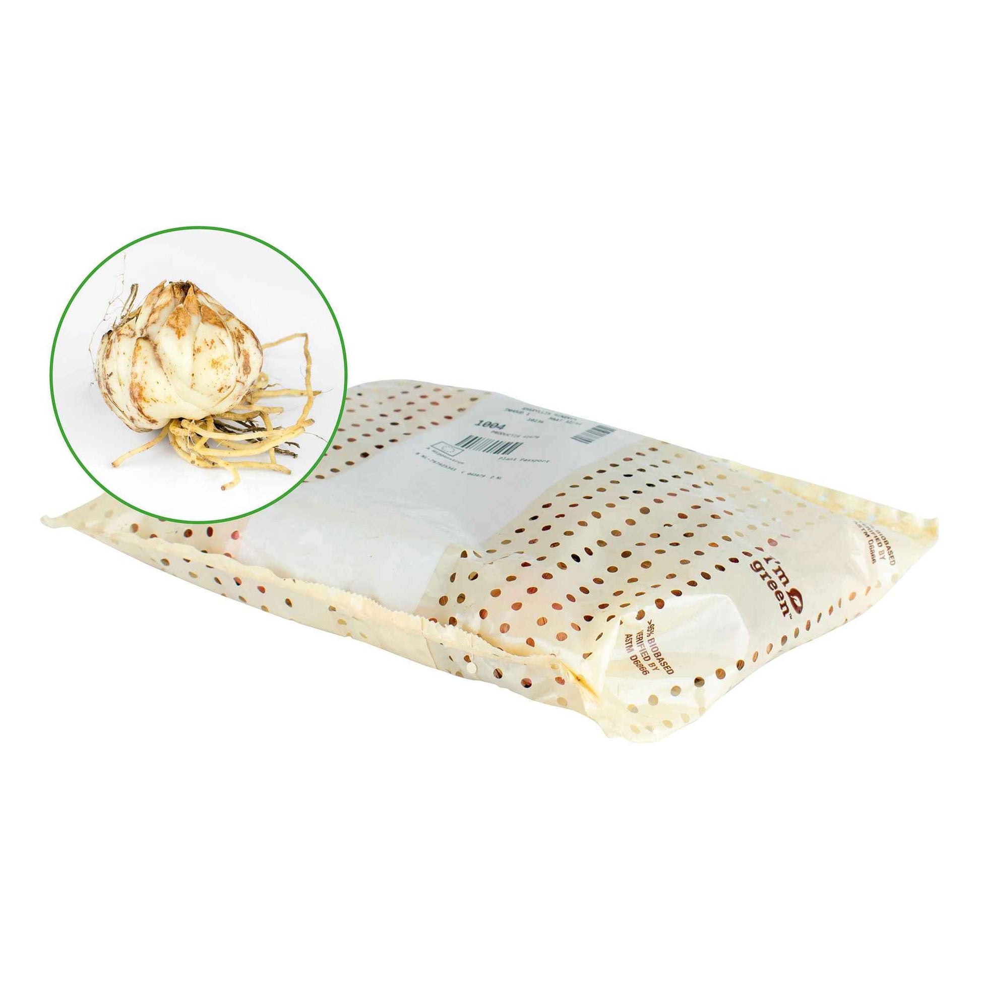 Zwiebelmix - Klebschwertel Mischung - Ixia