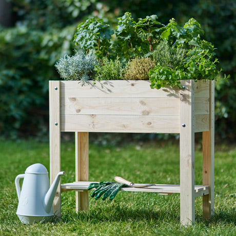 Gemüsegarten : was soll ich pflanzen?