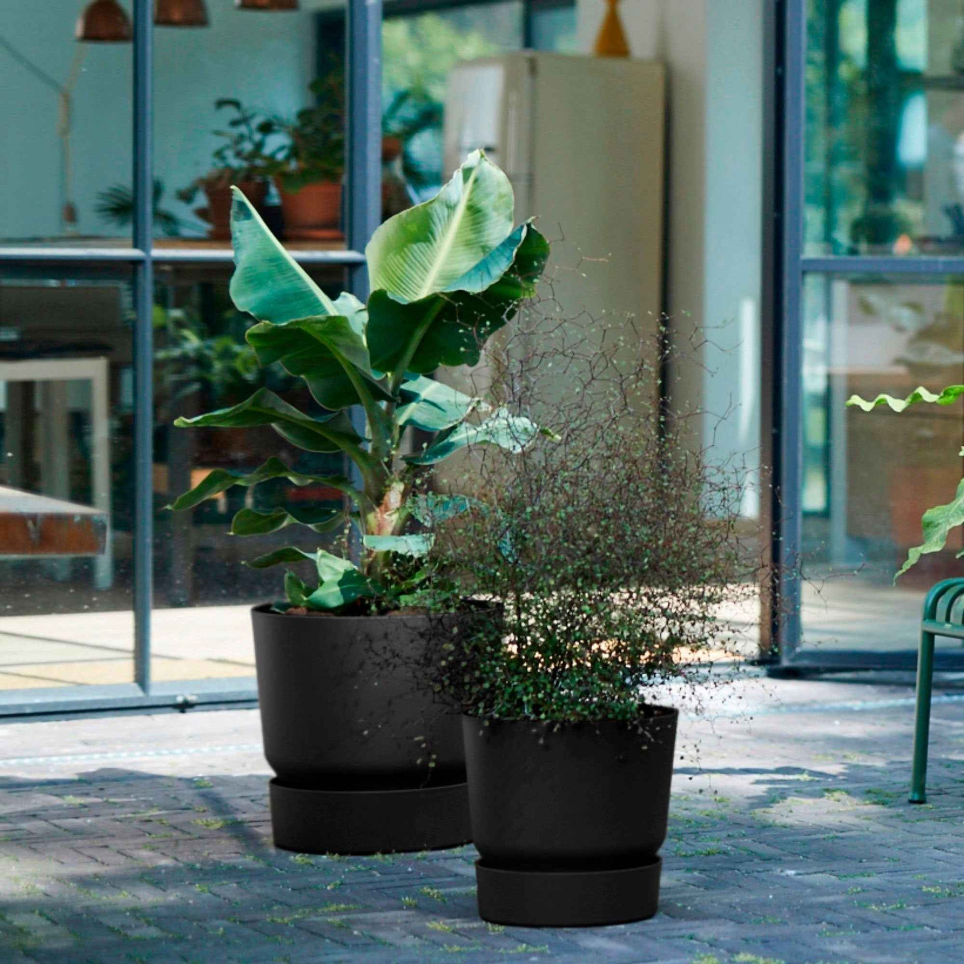 Blumentopf Greenville Living schwarz -  - Bakker