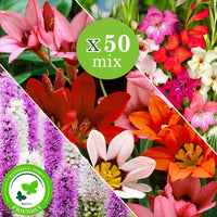 Blumenzwiebel Mischung 'For Bees & Butterflies' (x50) - Gladiolus nanus, sparaxis, liatris spicata - Bakker