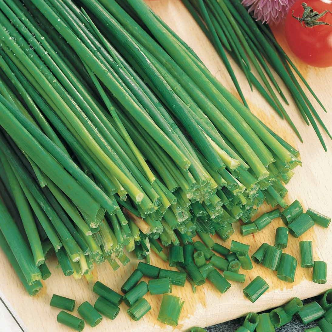 Verkauf Schnittlauch - Allium schoenoprasum