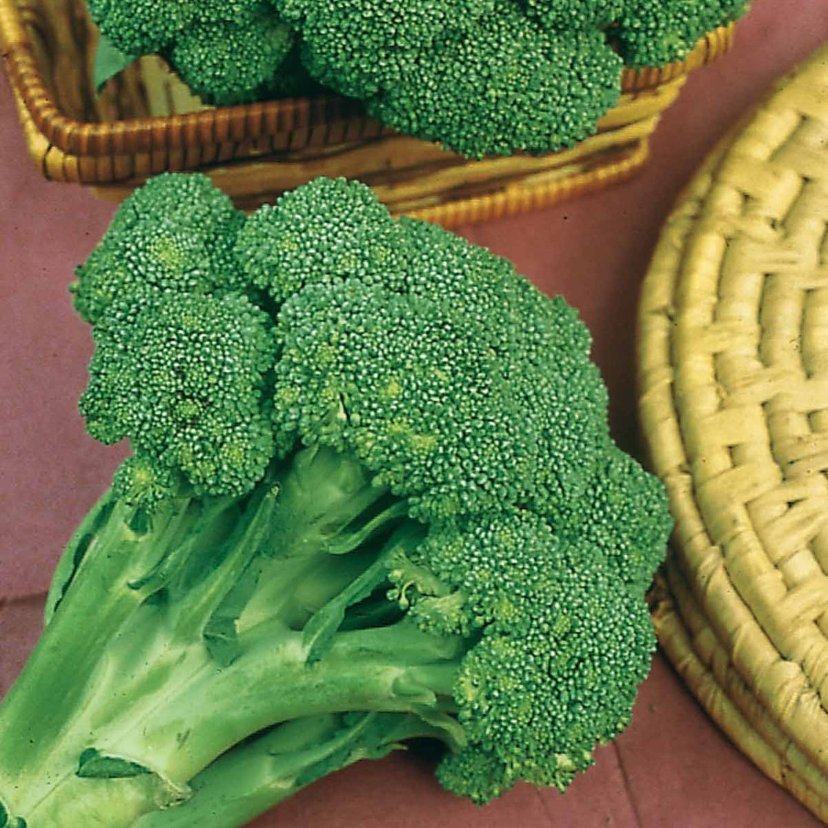 Samen für Kohl - Brokkoli ‘Calabrese Natalino’ - Brassica oleracea Calabrese Natalino