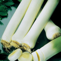 Samen für Obst und Gemüse - Porree 'Monstrueux de Carentan 2' - Allium porrum monstrueux de carentan 2 (30 g)