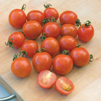 Kirschtomate 'Koralik' - Solanum lycopersicum 'koralik' - Bakker
