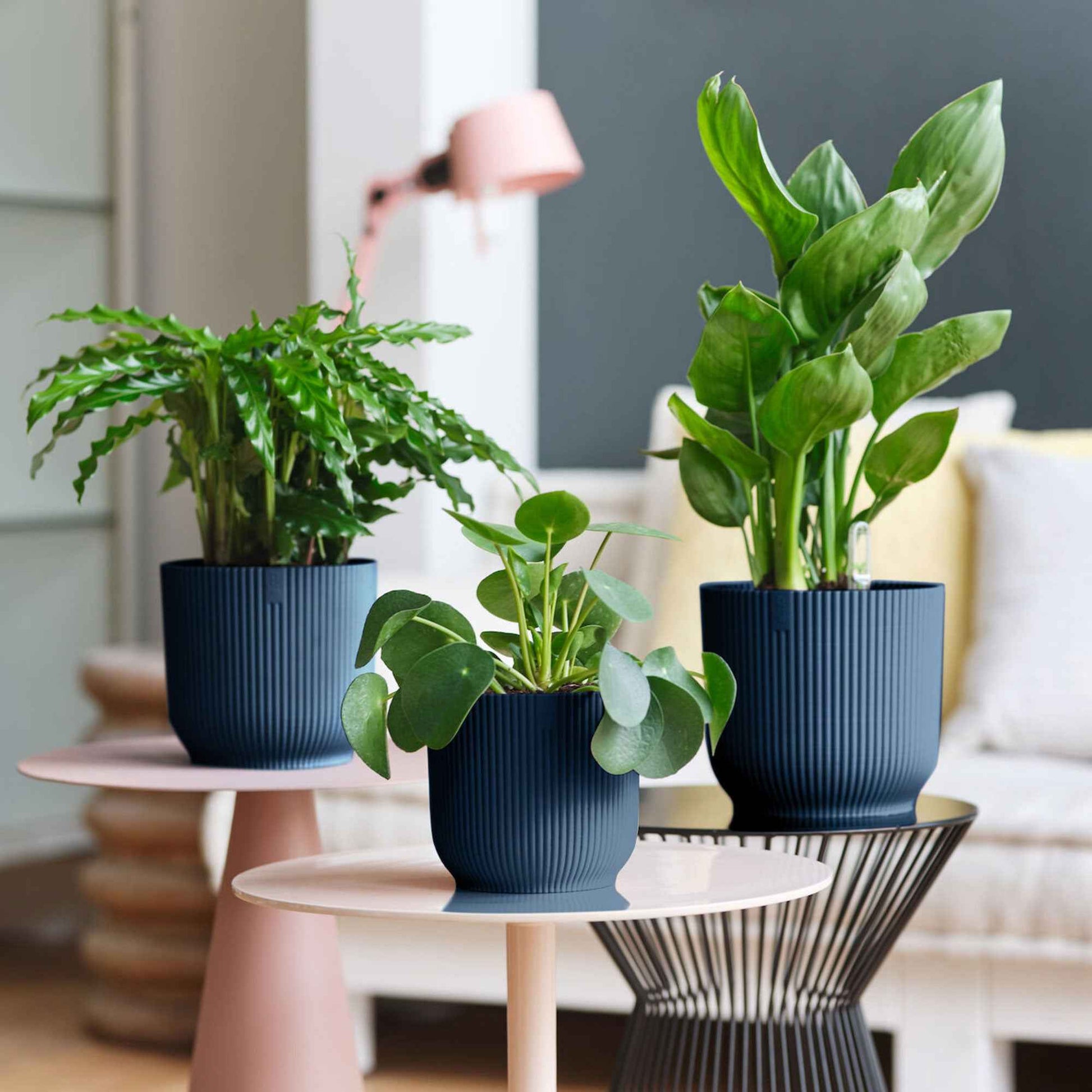 Elho Blumentopf Vibes Fold rund blau - Innentopf - Bakker