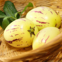 Verkauf Melonenbirne - Solanum muricatum