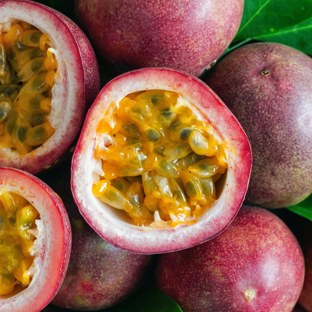 Passionsfrucht Frederick - Bakker