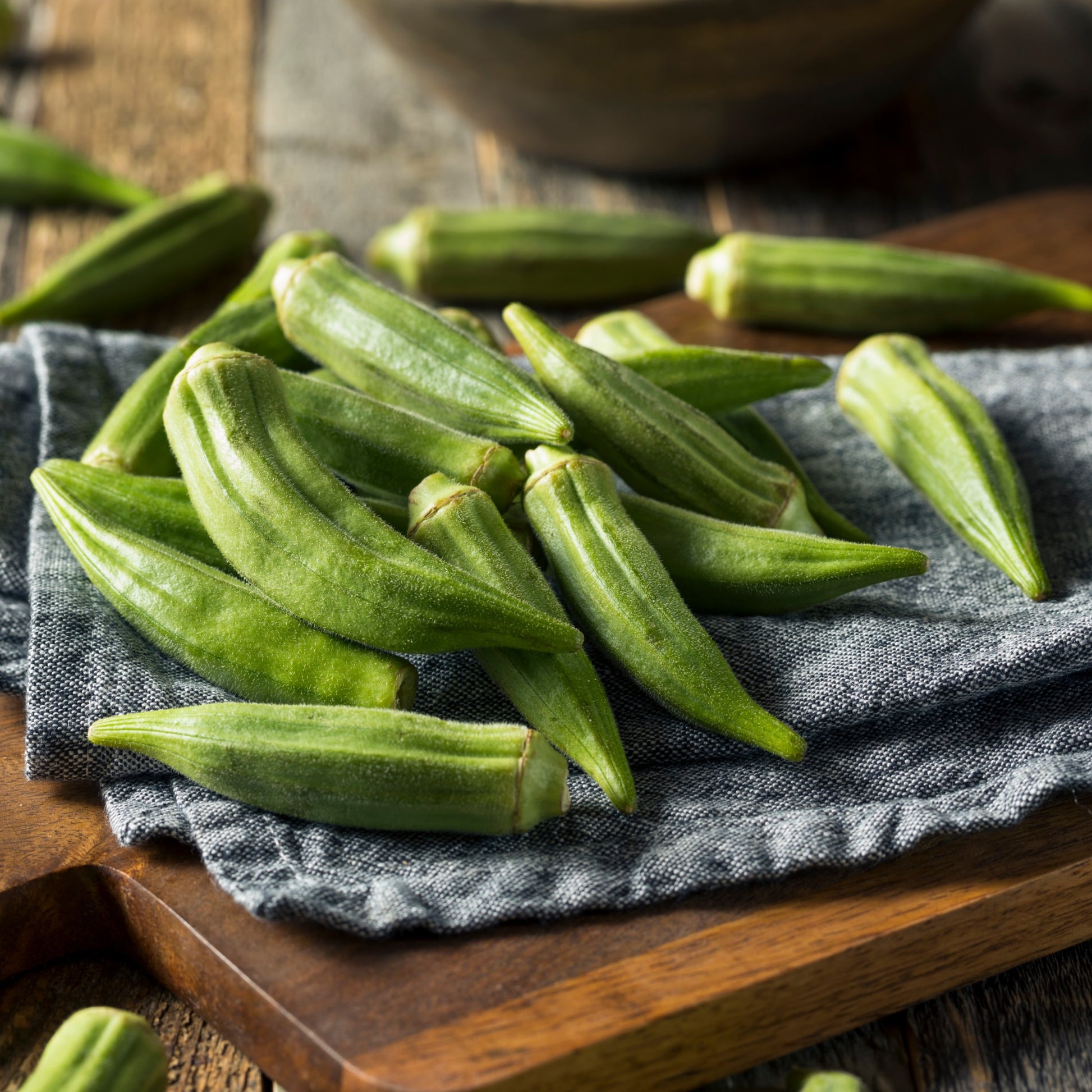 Okra - Abelmoschus esculentus - Bakker