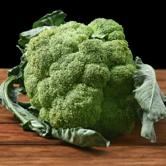 Brokkoli ‘Calabrese Natalino’ Bio - Bakker