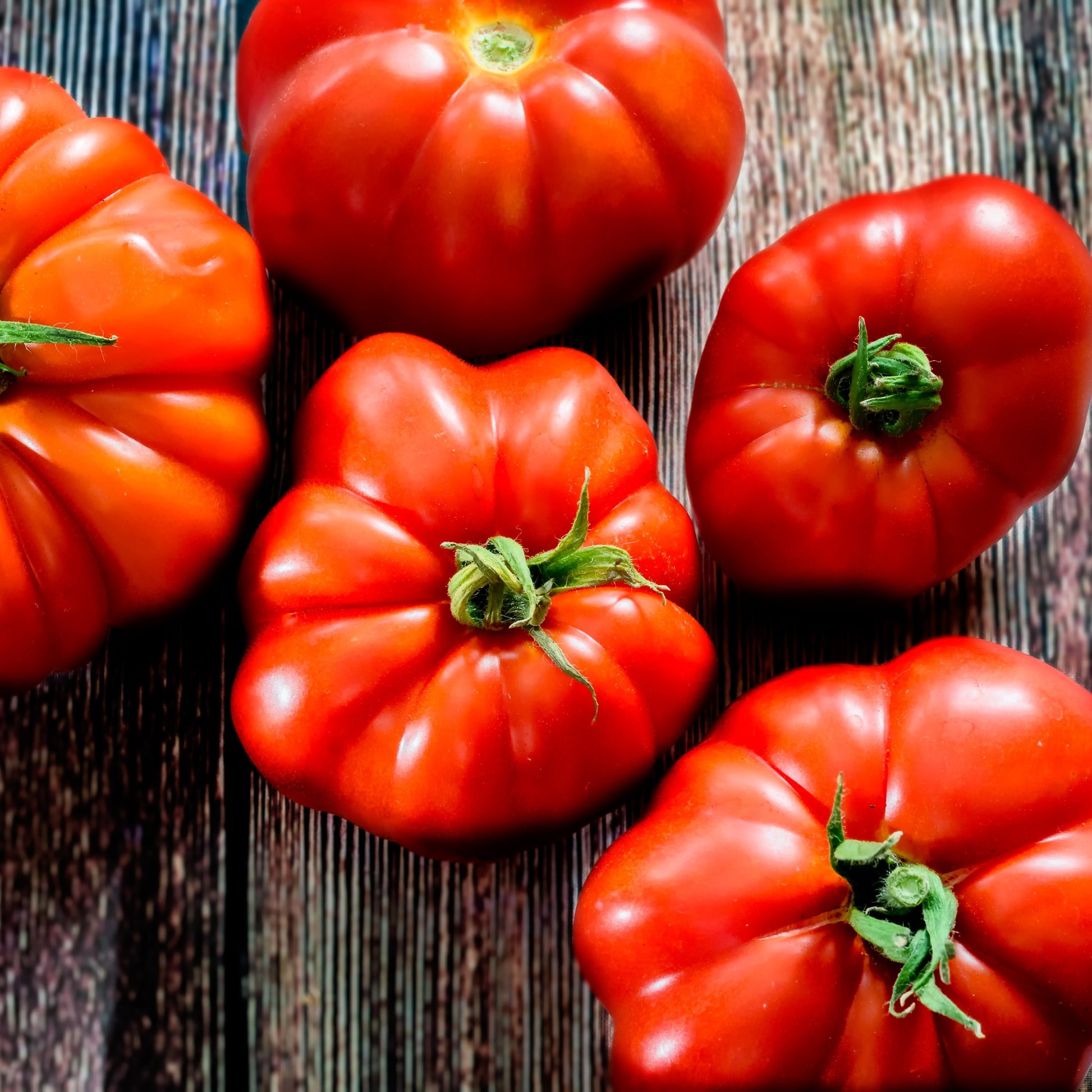 Fleischtomate Marmande - Bakker