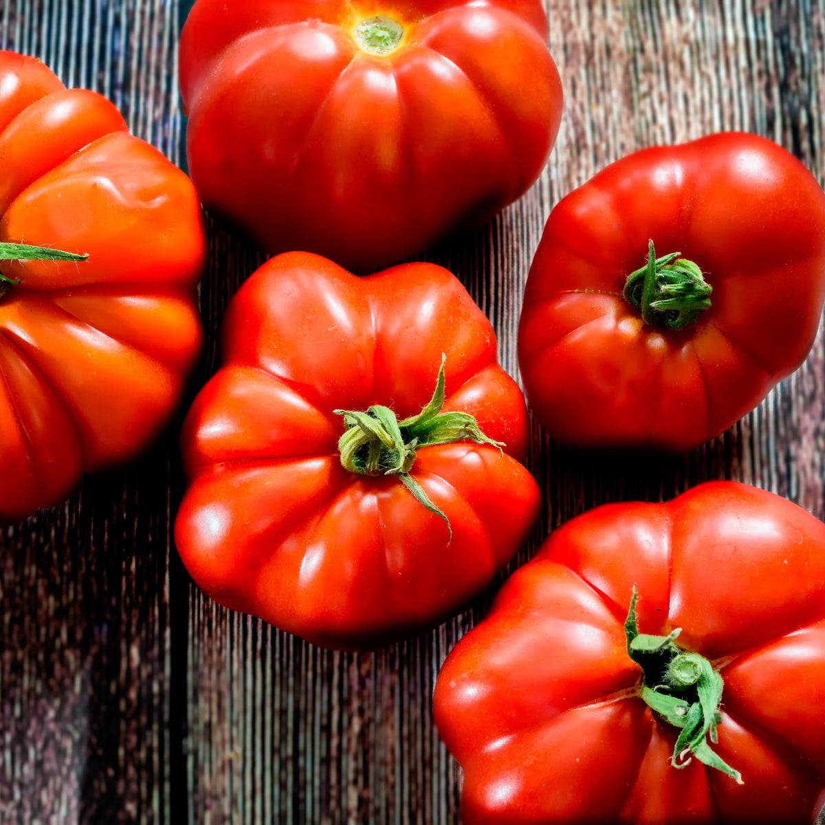 Fleischtomate Marmande - Bakker