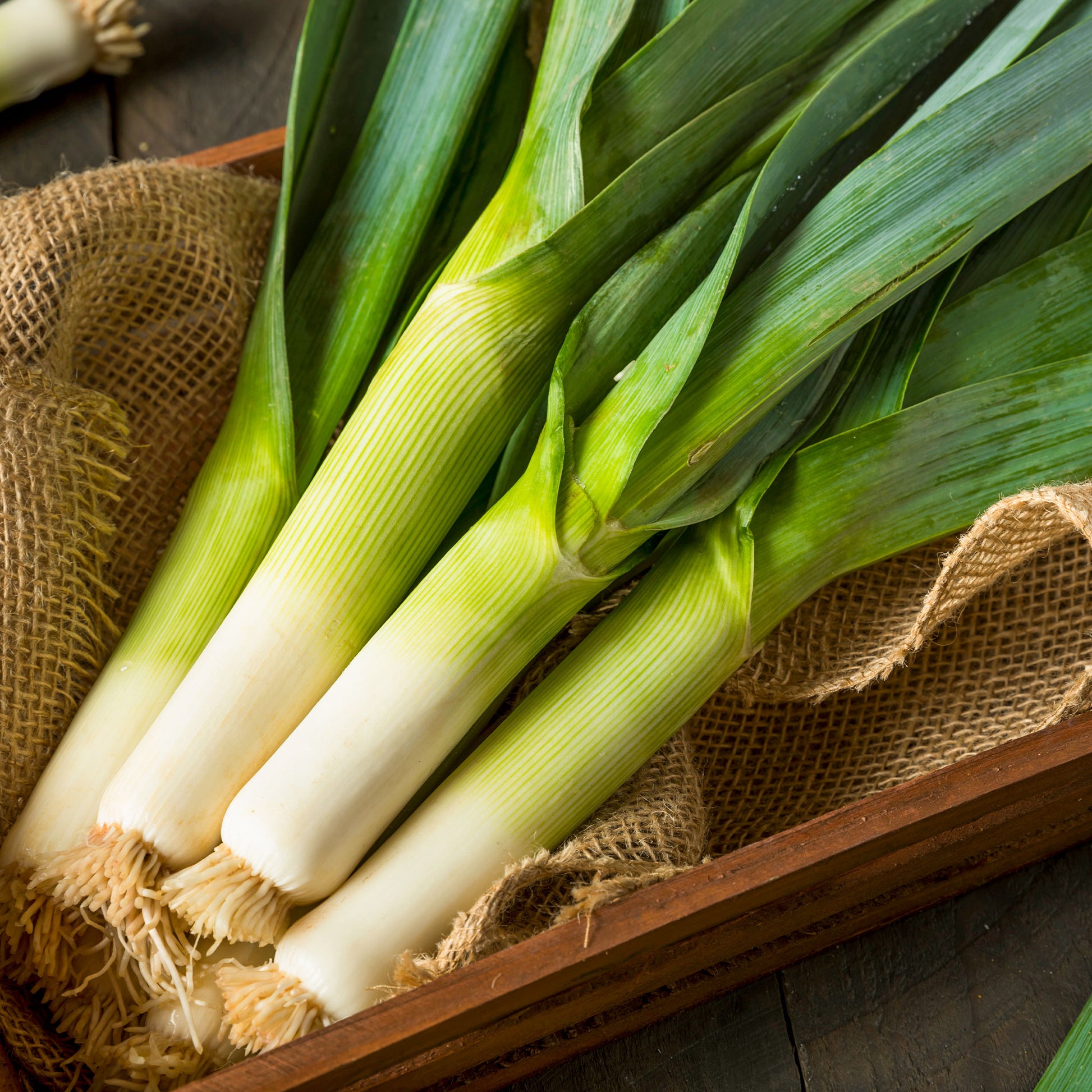 Porree Armor - Bakker