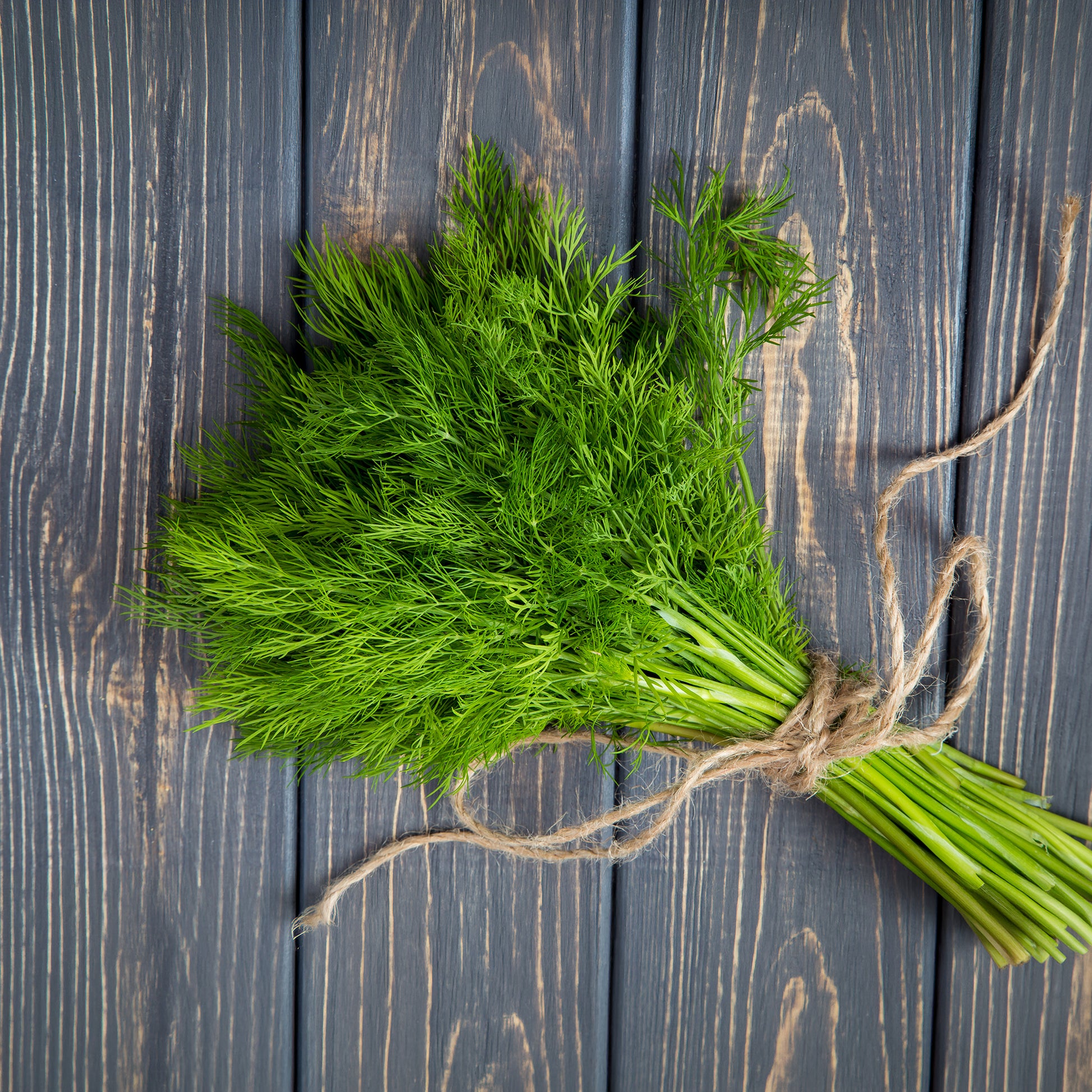 Dill Bouquet - Bakker