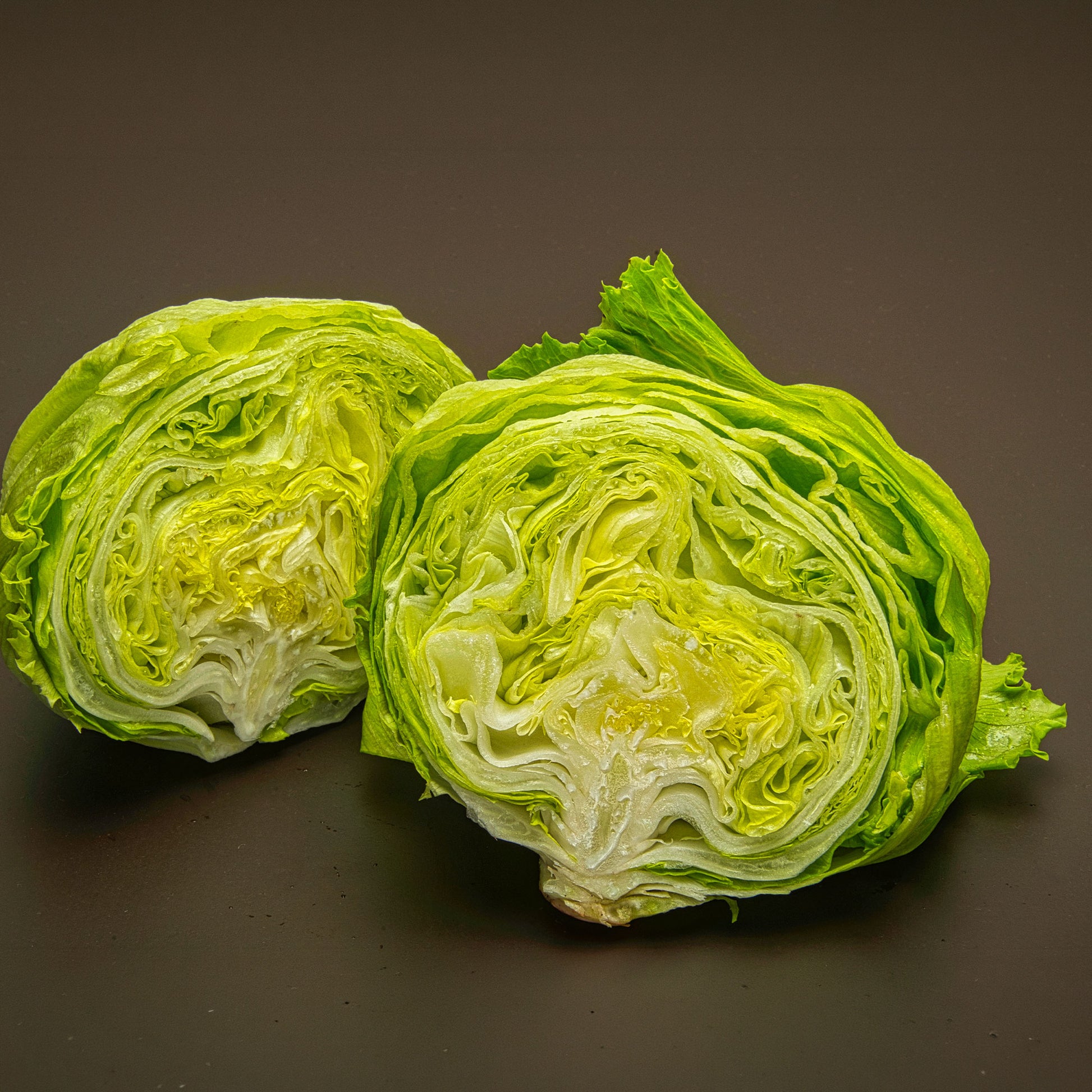 Bataviasalat ‘Great Lakes 659’ - Lactuca sativa capitata great lakes 659 - Bakker