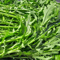 Verkauf Japanischer Salatkohl Mizuna Bio - Brassica rapa japonica mizuna