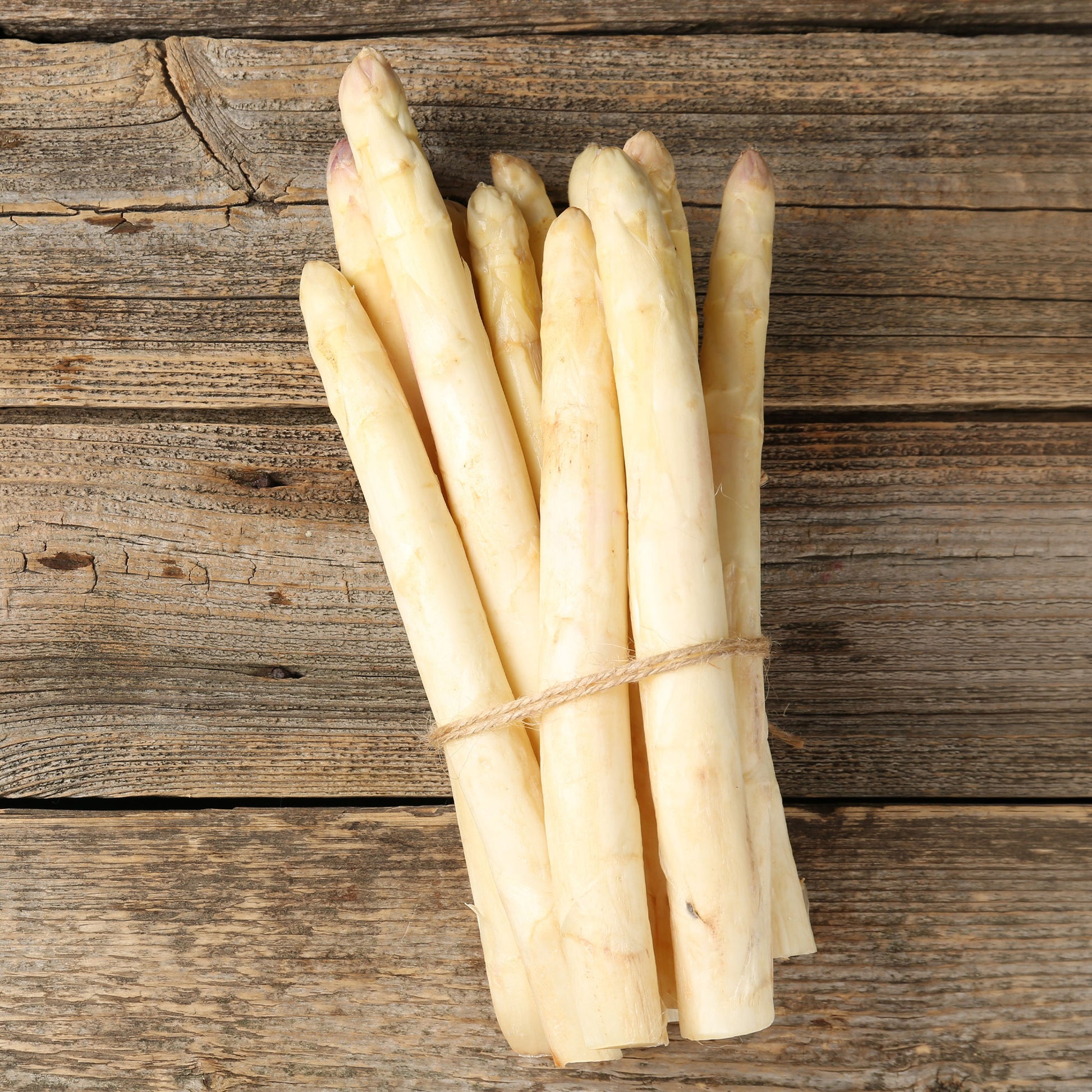 Spargel Argenteuil (x10) - Bakker