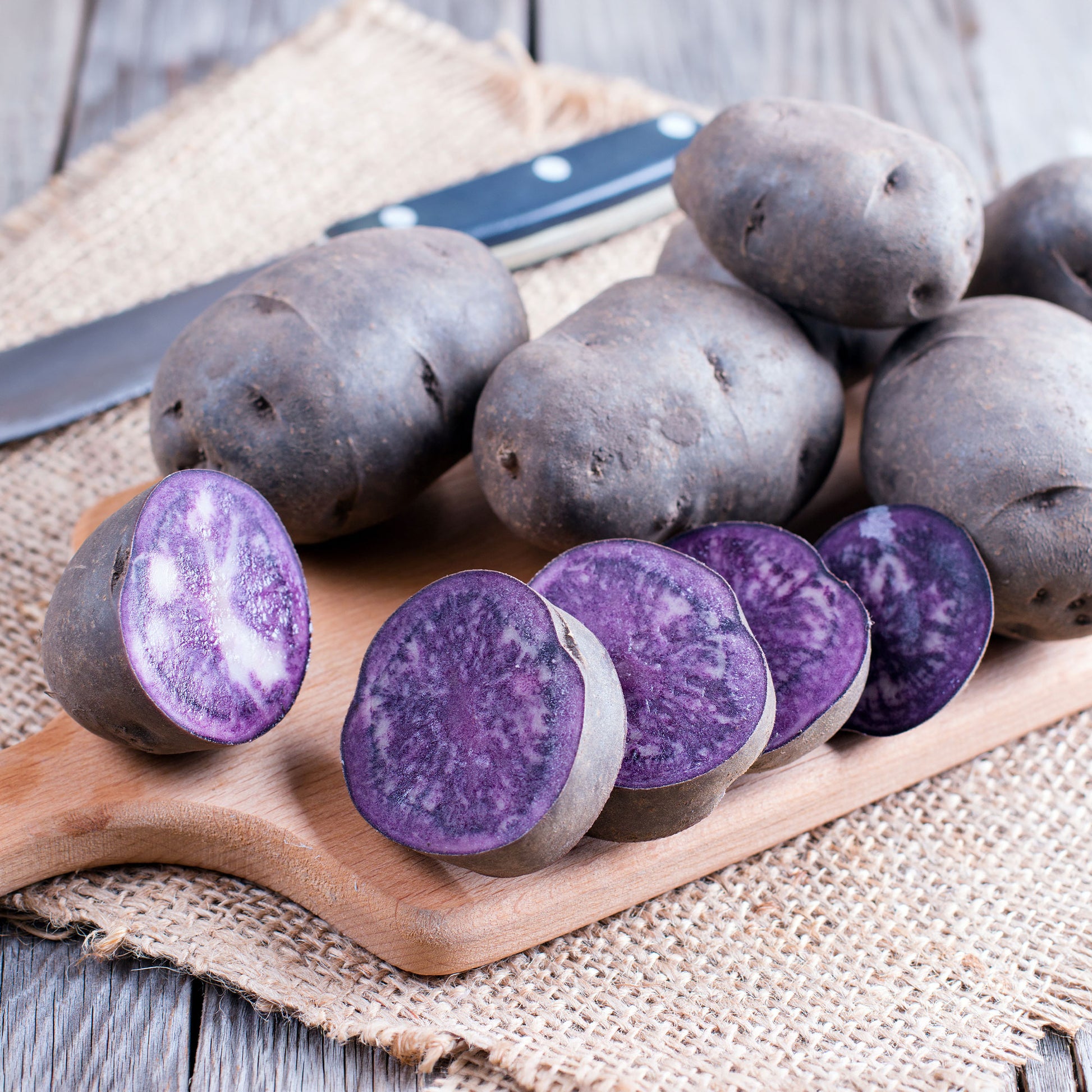 Kartoffel 'Ulysse' Bio - Solanum tuberosum ulysse - Bakker