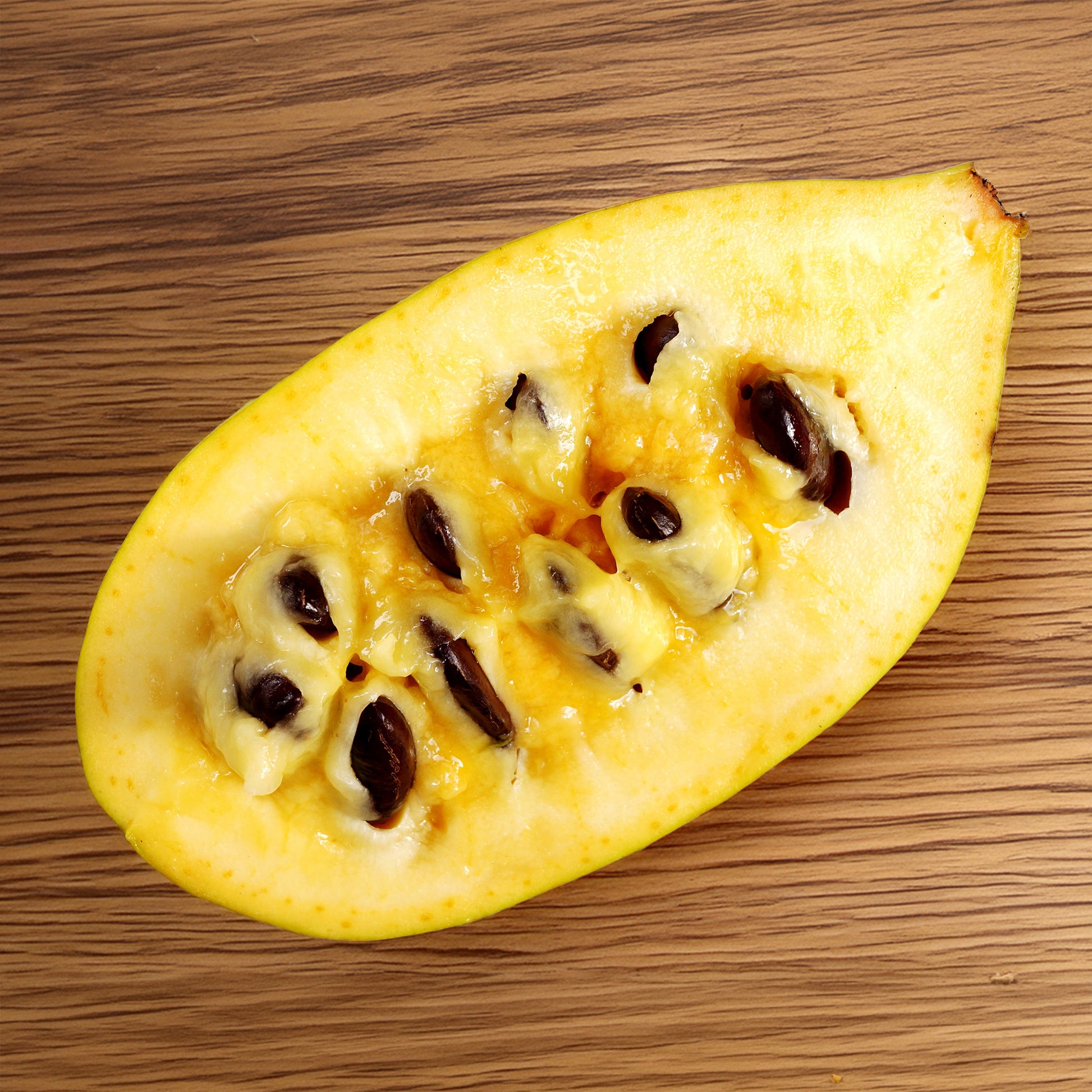 Verkauf  - Asimina Triloba Prima