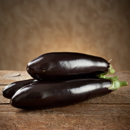 Aubergine ‘Violette de Barbentane’ - Bakker