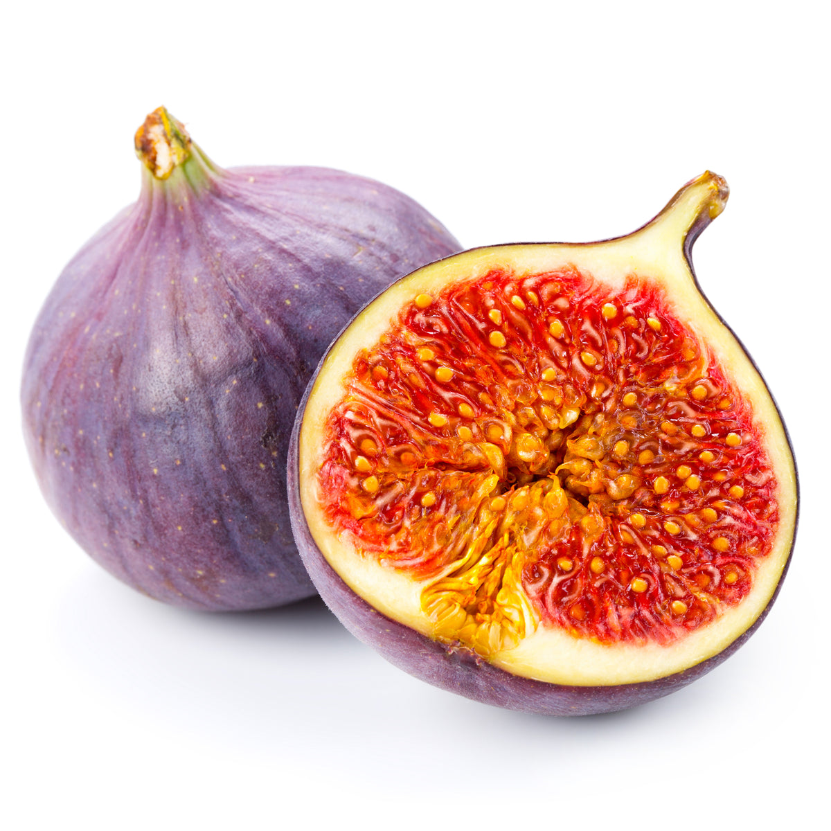 Feigenbaum Ficus carica 'Perretta' - grün-braun - Winterhart