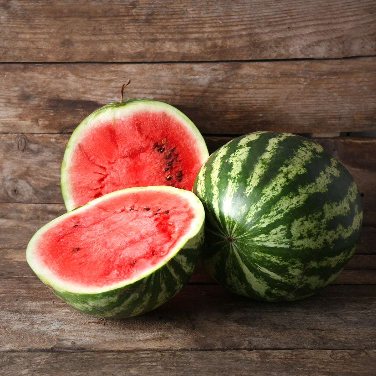 Wassermelone Citrullus 'Crimson Sweet' - Citrullus lanatus Crimson Sweet - Bakker