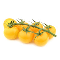 Solanum lycopersicum cocktail raisins jaunes - Gelbe Cherrytomate ‚Raisin‘ - Samen für Tomaten