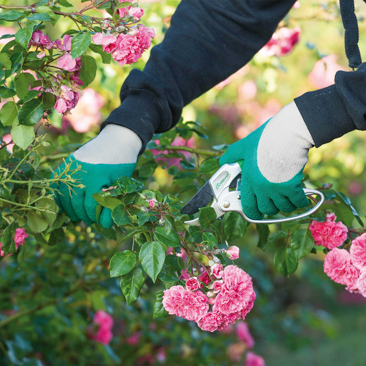  - Rosengarten-Handschuhe grün-grau - Ausrüstung für Gärtner