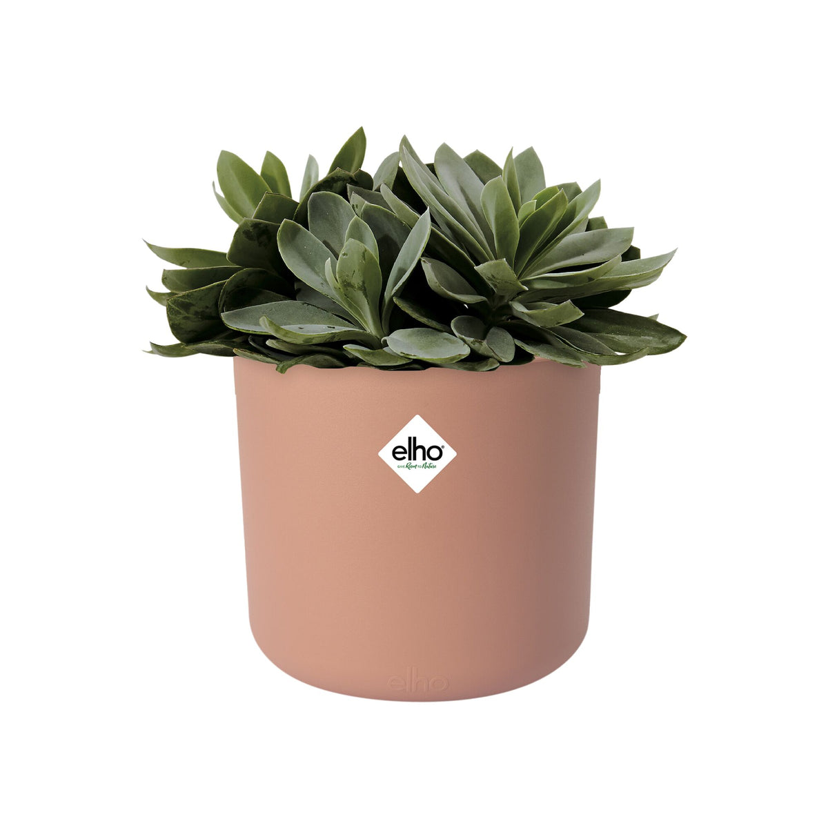 Übertopf B für Soft rund rosa ELHO -  - Bakker