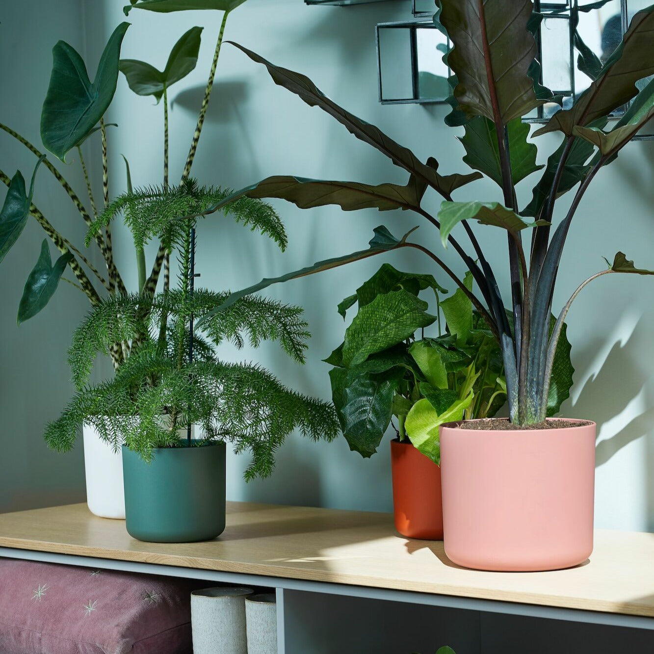 Kleine Töpfe für den Innenbereich - Übertopf B für Soft rund rosa ELHO - 