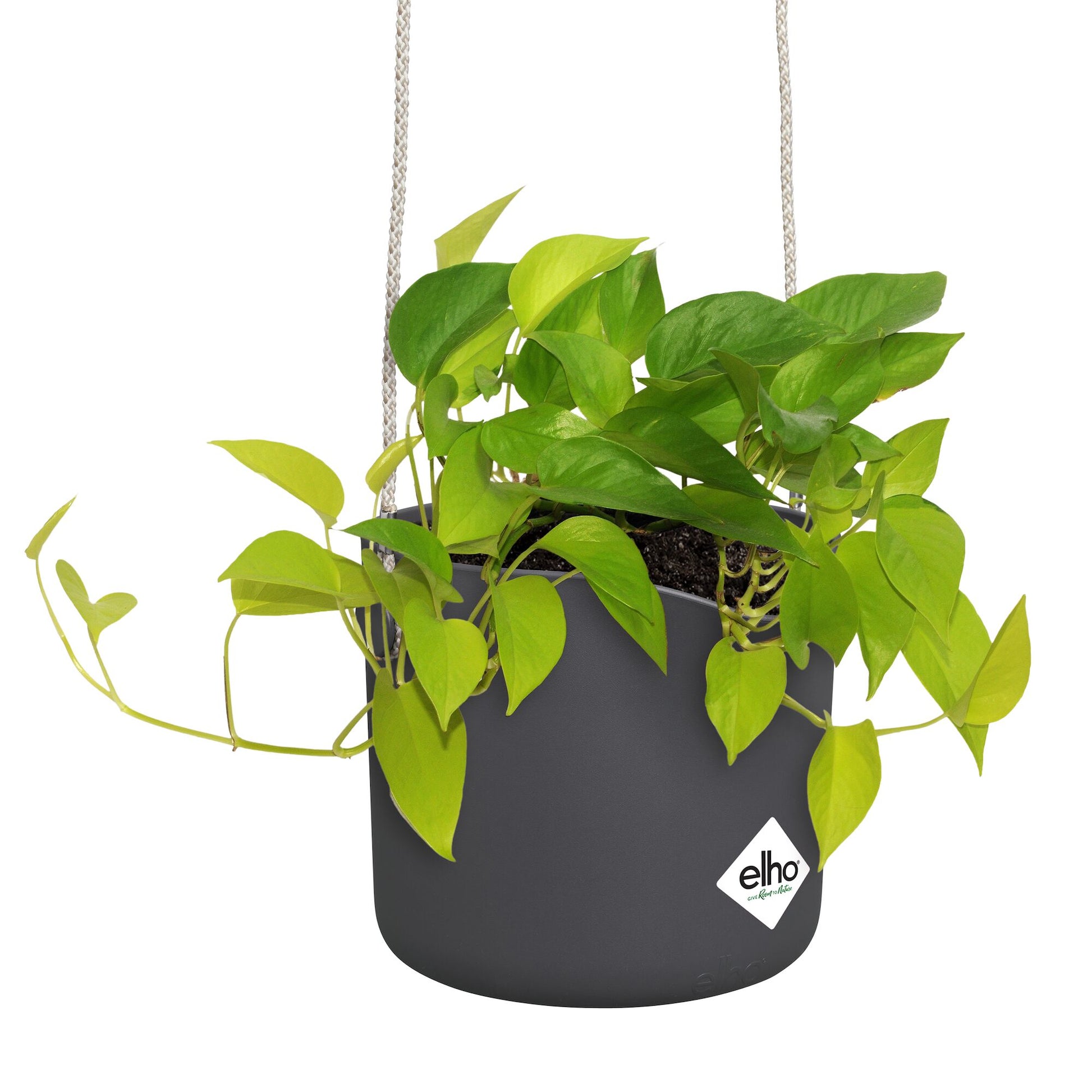 Verkauf Aufhängung B für Swing grau ELHO