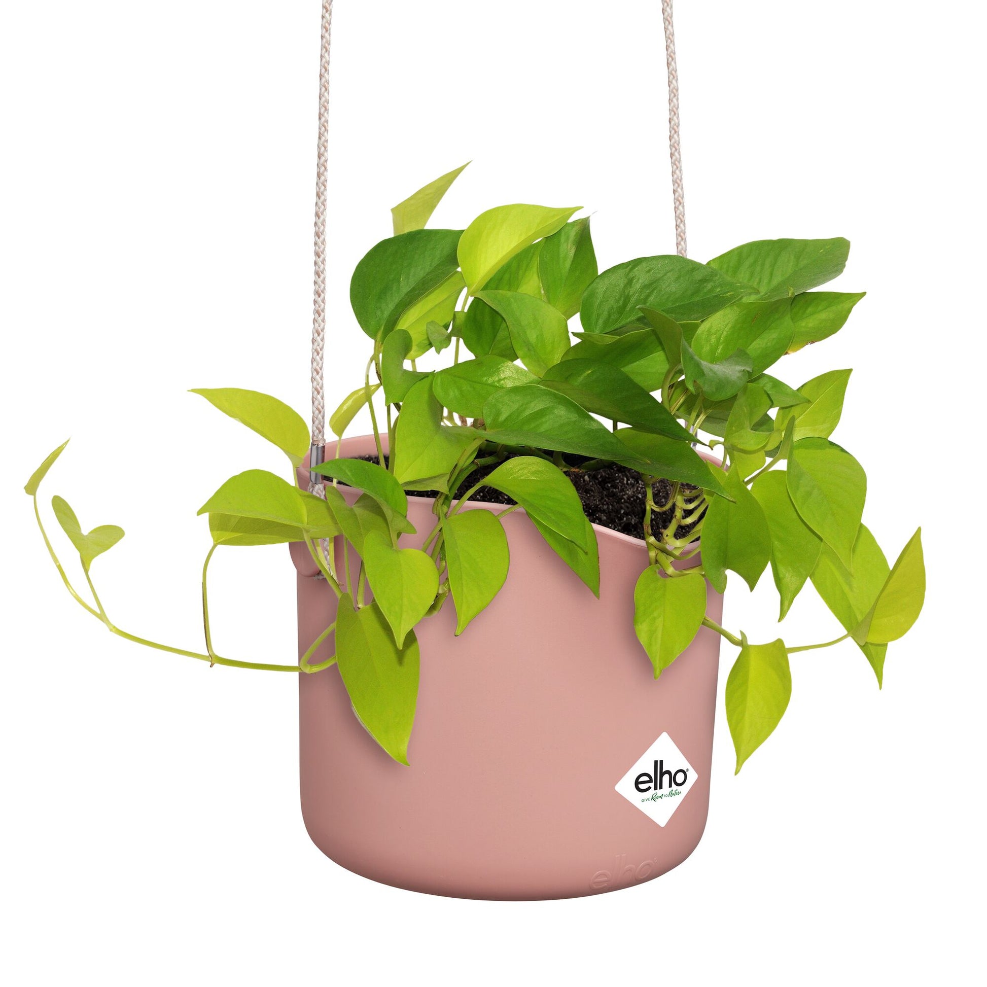 Verkauf Aufhängung B für Swing rosa ELHO - 