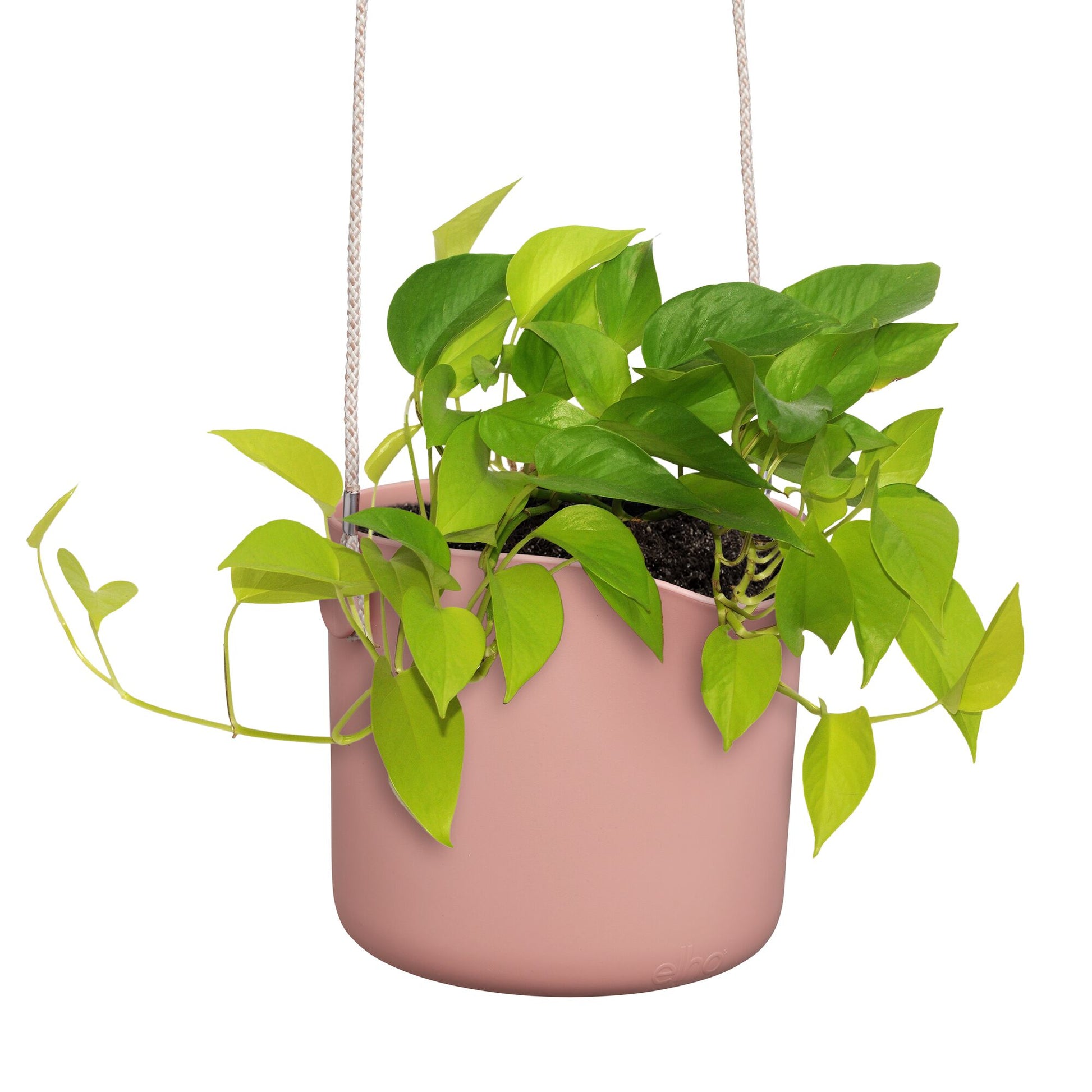 Verkauf Aufhängung B für Swing rosa ELHO