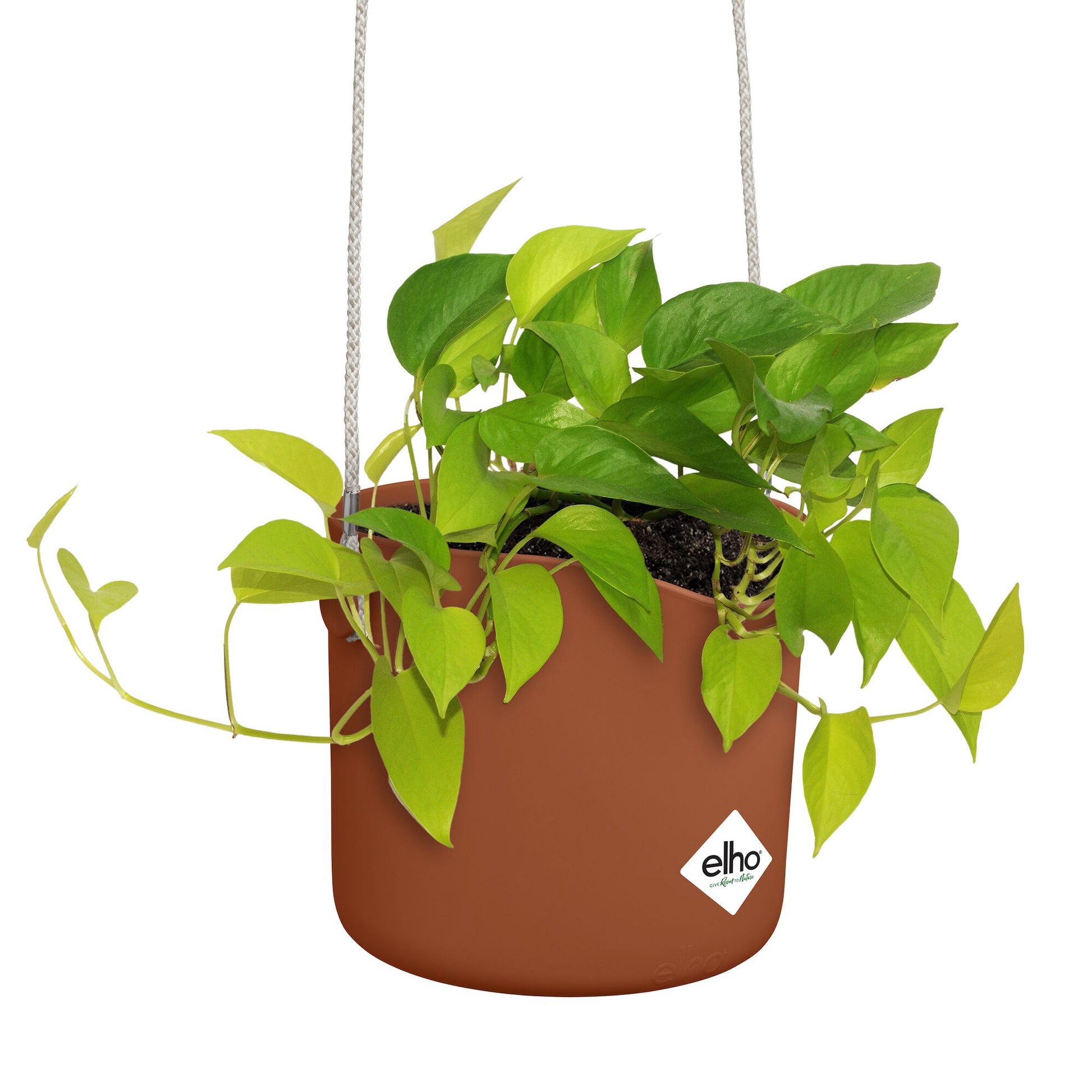 Verkauf Aufhängung B für Swing terrakotta ELHO - 