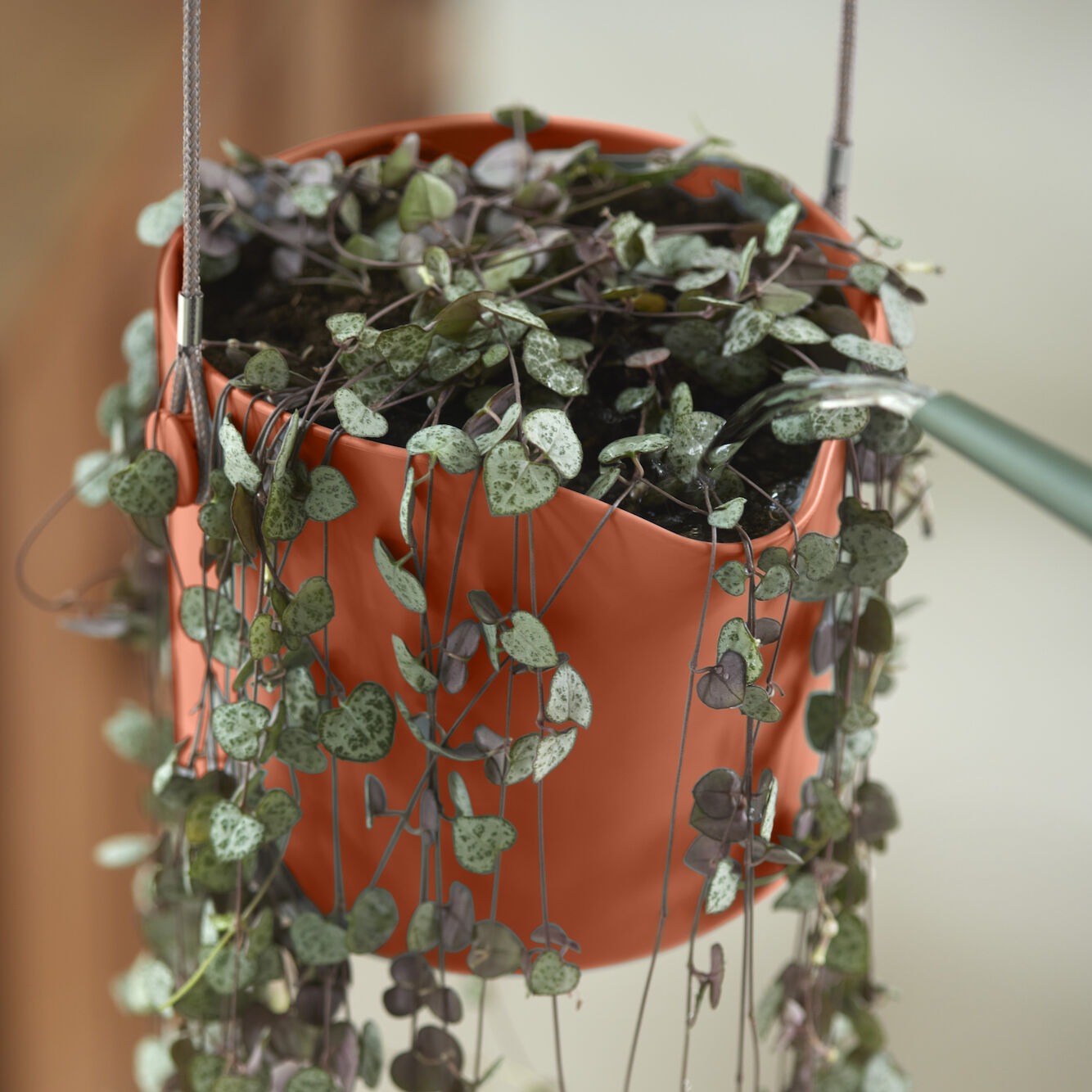 Aufhängung B für Swing terrakotta ELHO - Blumenampel - Bakker