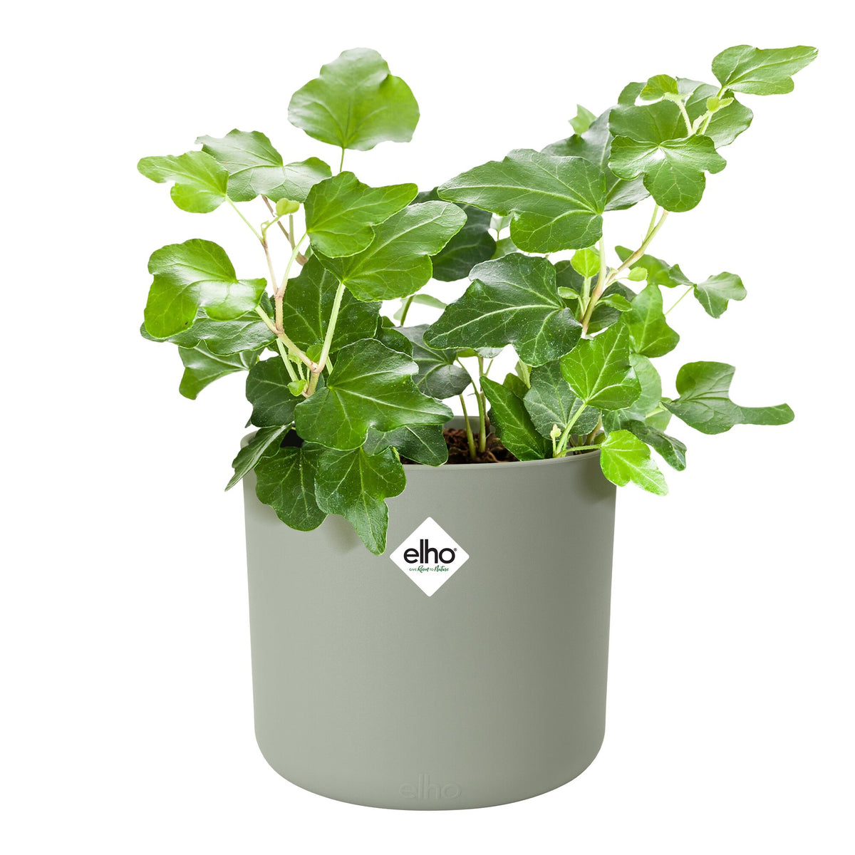 Elho Blumentopf B for soft rund steingrün -  - Bakker