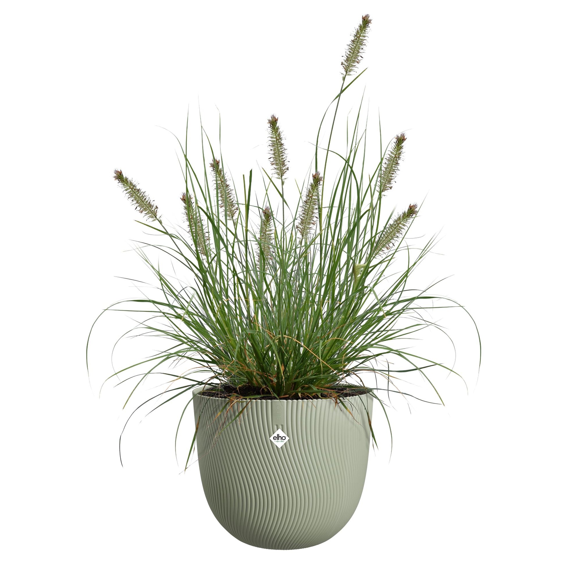 Blumentopf Sereh rund  skandinavisches grün -  - Bakker