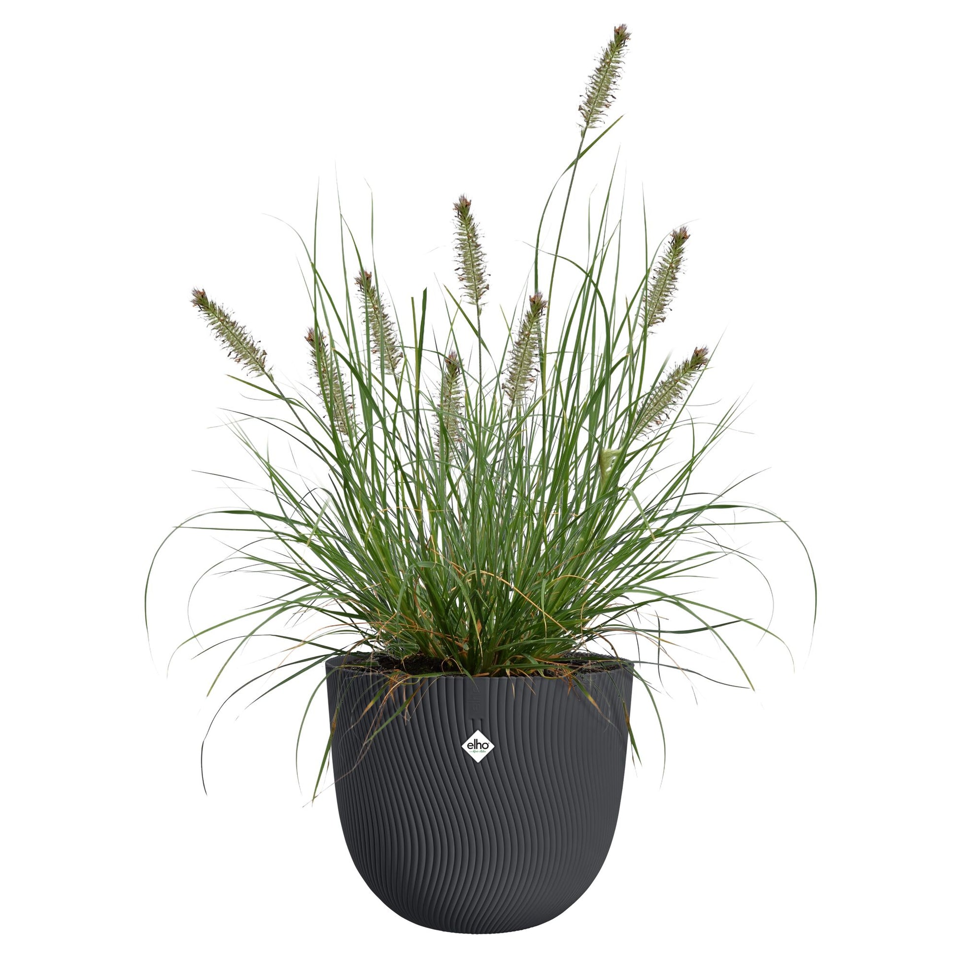 Blumentopf Sereh rund santhrazit -  - Bakker