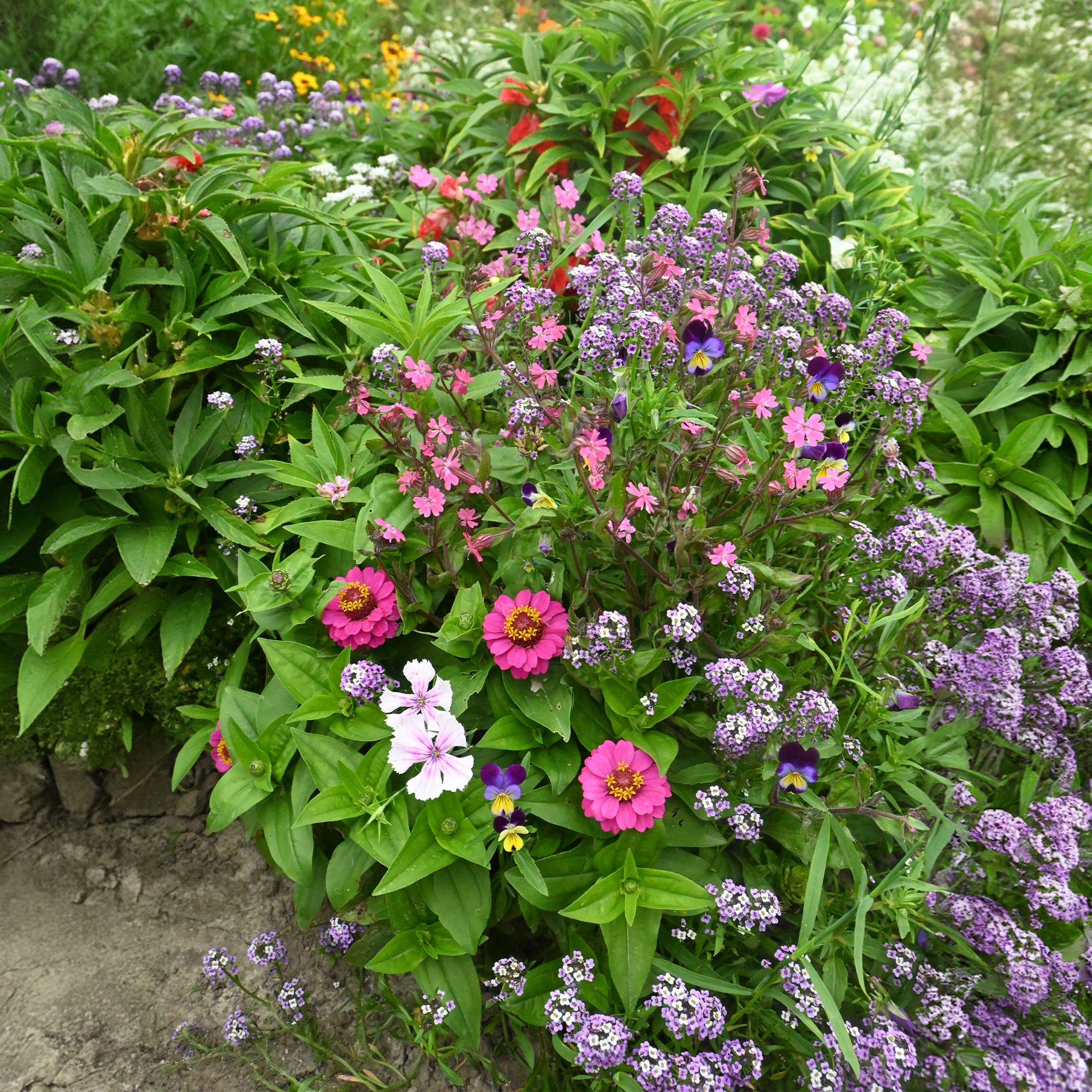 Spezieller Blumenteppich für Blumenkästen -  - Bakker