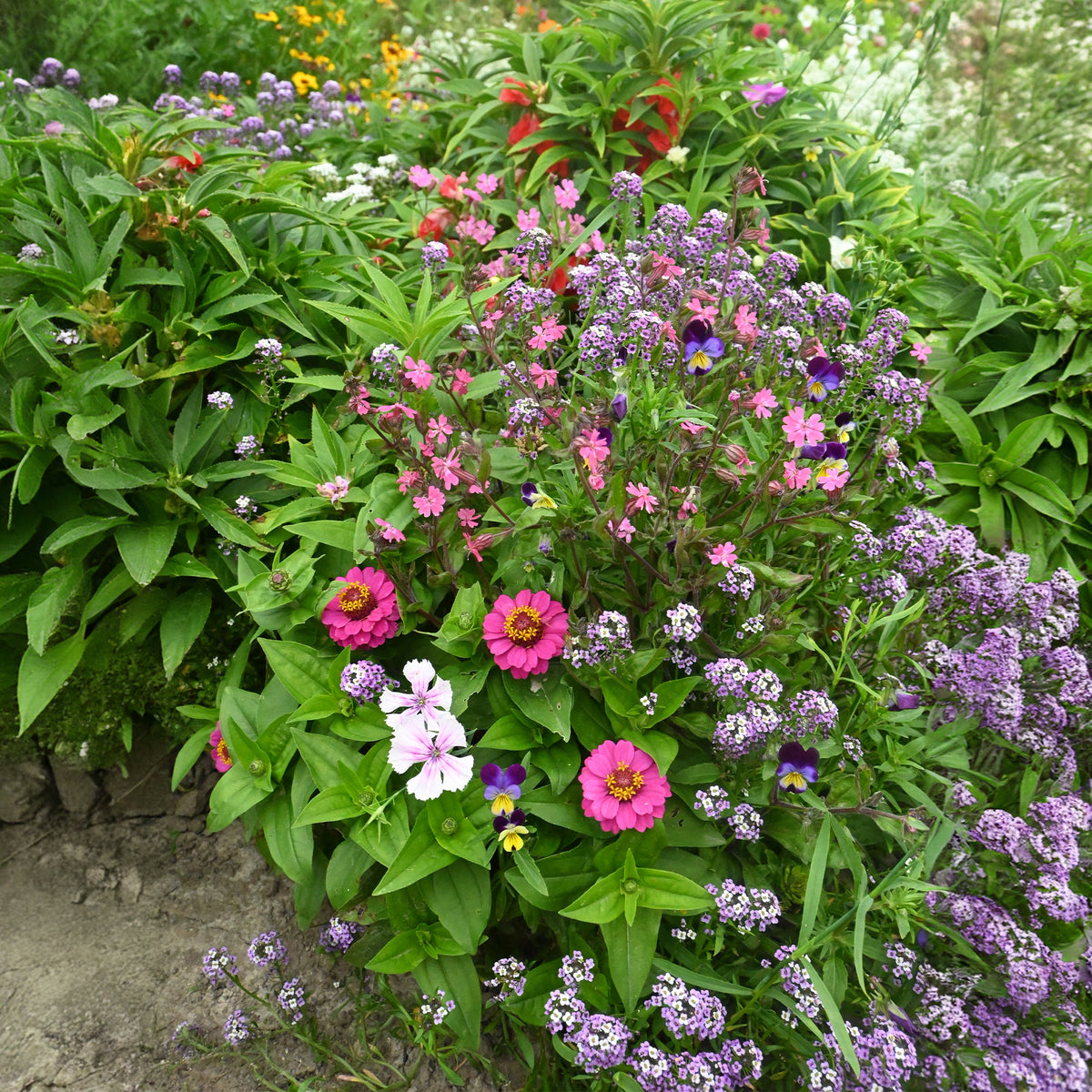 Spezieller Blumenteppich für Blumenkästen -  - Bakker