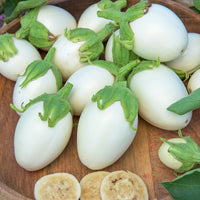 Aubergine ‘Blanche ronde à œufs’ - Bakker